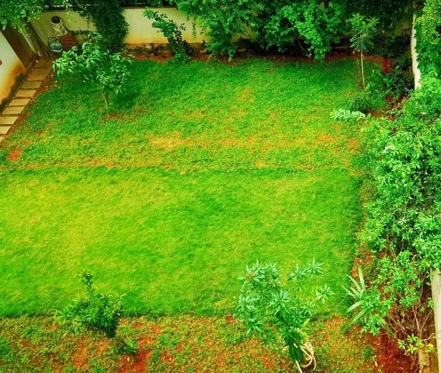 Tulip Villa Bangalore Extérieur photo